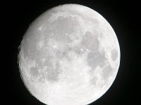 Kensington Moon1